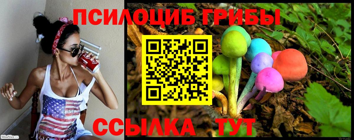 Галлюциногенные грибы Psilocybe Ангарск