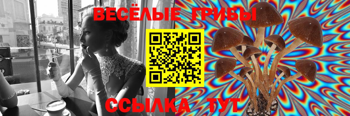 Псилоцибиновые грибы мухоморы  Галлюциногенные грибы GOLDEN TEACHER  Ангарск 