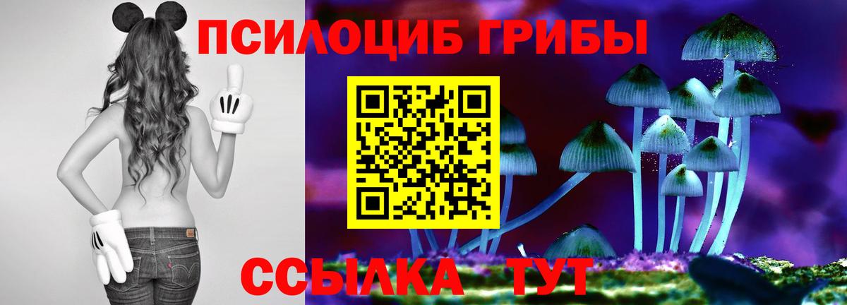 Псилоцибиновые грибы MAGIC MUSHROOMS  Вход с VPN  Ангарск 